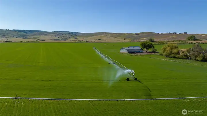 This property is equipped with a pivot system and 8" & 10" irrigation pipes.