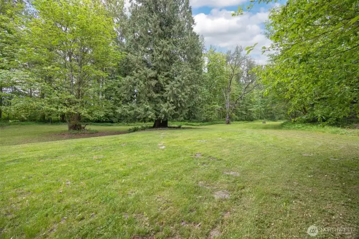 Over 11 peaceful acres.