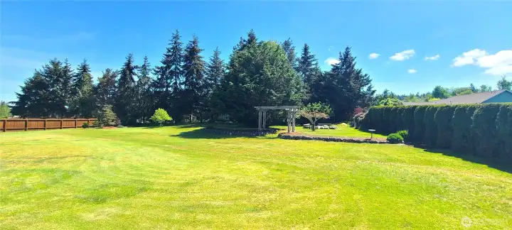 Rear Yard