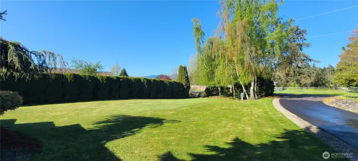 Front Landscaping