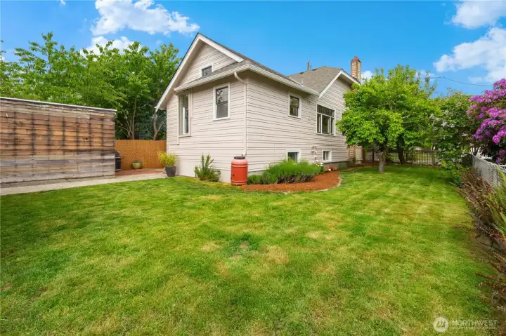 Backyard. Backyard.