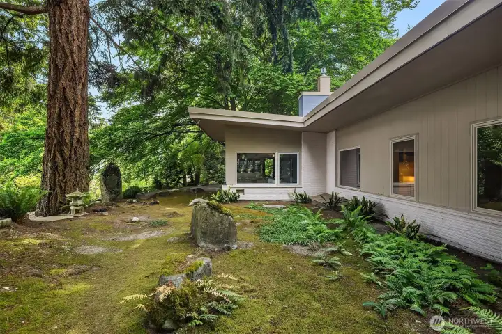 Moss and fern garden on the south side