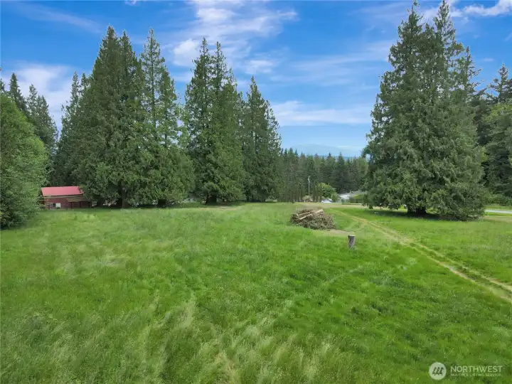 Upper pasture. . . .