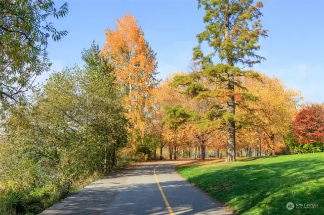 Walking the 2.8 mile loop around the lake never gets old.  The changing seasons are a joy to watch.