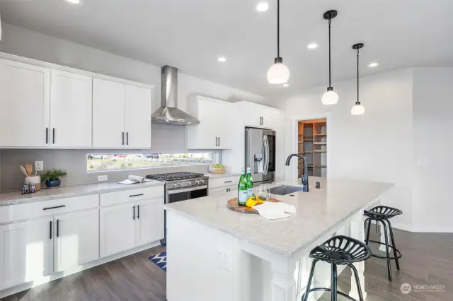 Chef's kitchen with large island and quartz counters