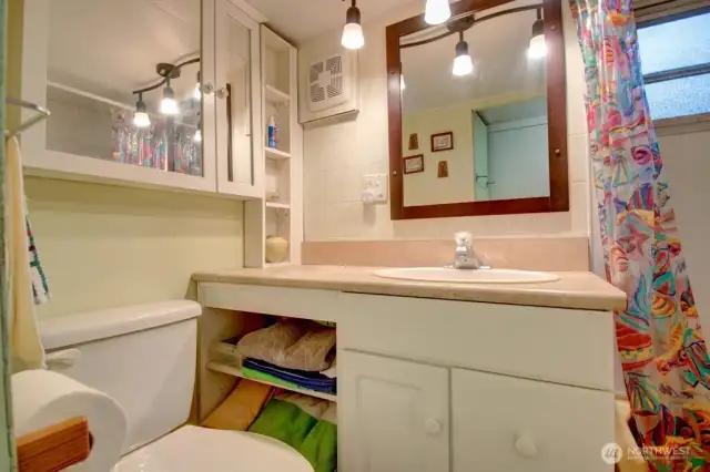 Cabinets and storage in bathroom