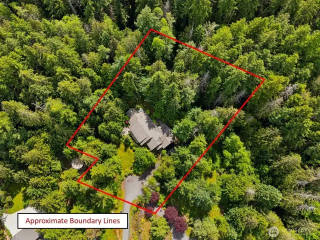 This overhead view shows the cul-de-sac and driveway, community water tank to the left, and 1.14 acres of property adjacent to 2,800 acres of Anacortes Community Forest Lands.