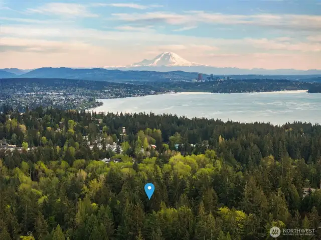 Mt. Rainier VIEWS