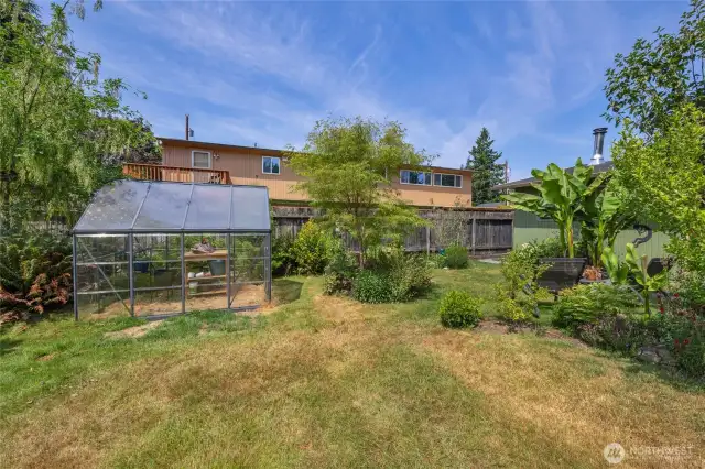 Large usable area in backyard with greenhouse that conveys
