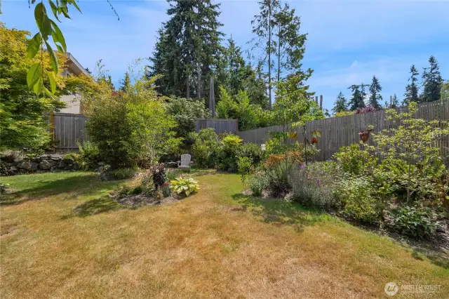 More backyard