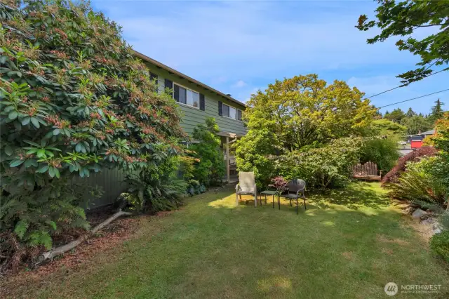 Lawn area on front yard