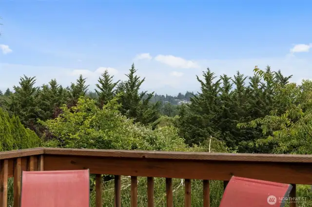 Large back yard!