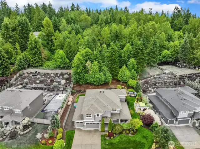 Such a serene, green backdrop for this lovely home.