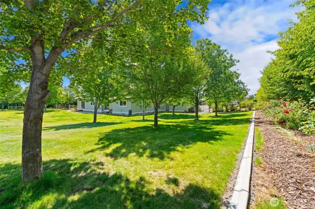 Beautiful park-like landscaping