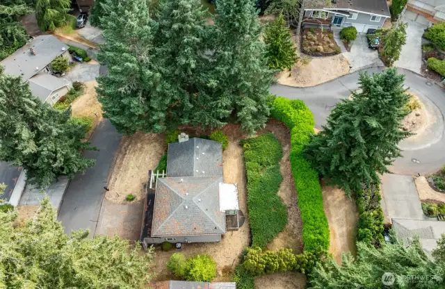 Great Cul-de-sac location