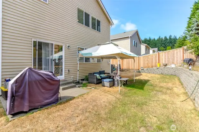 Newer fence in the background (2024).