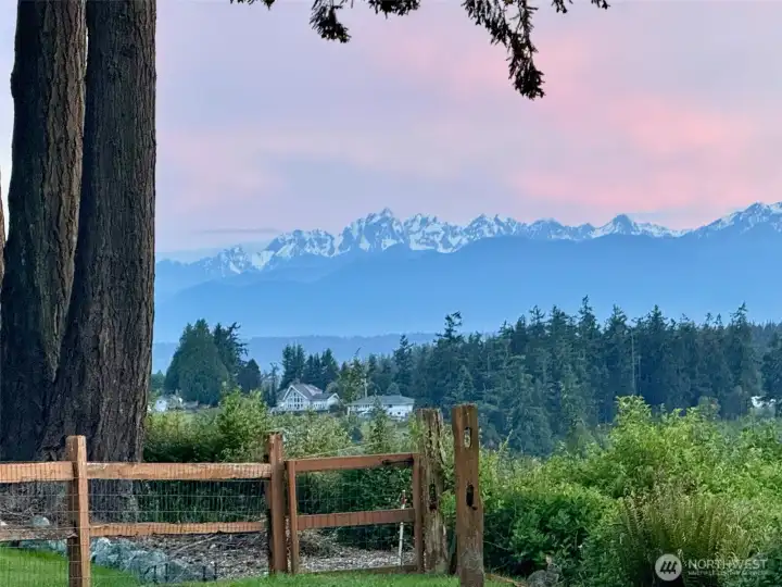 Views of the Olympic mountains.