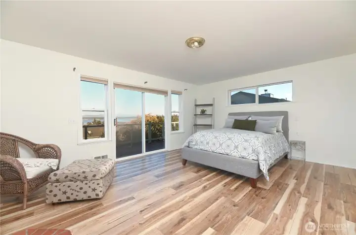 Main level primary with sliding door to the large deck, 3/4 bath, large walk-in closet and fireplace.