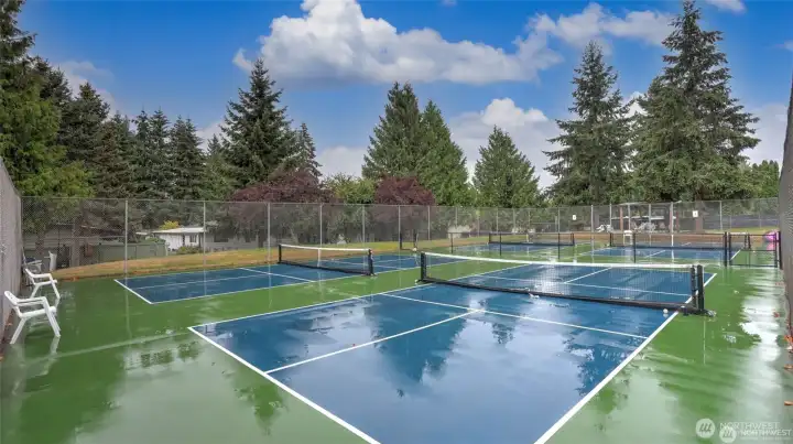 Pickle ball court with secured RV parking in the background.