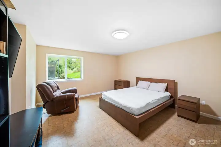 Downstairs bedroom with walk-in closet