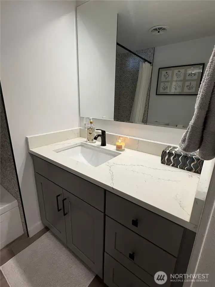 Guest vanity