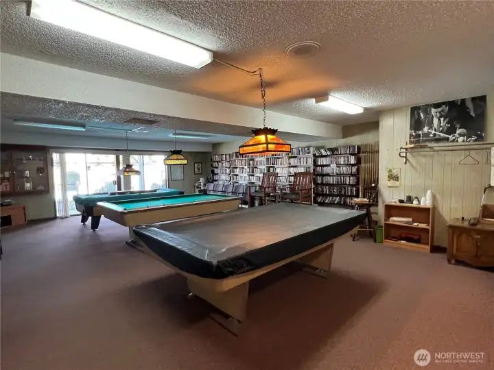 Pool Table room and library