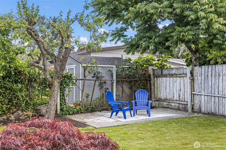 Second patio, fruit trees, Japanese maple. The yard has more going on than the first shot suggests.