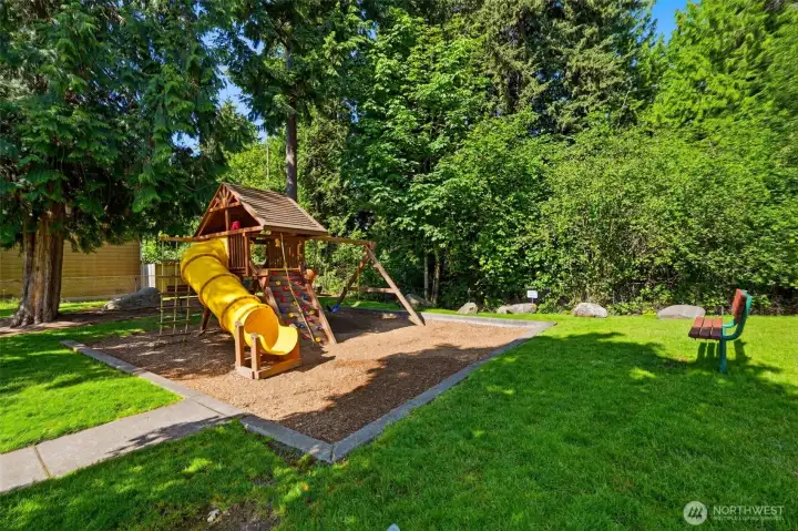 Playground in the cul-de-sac