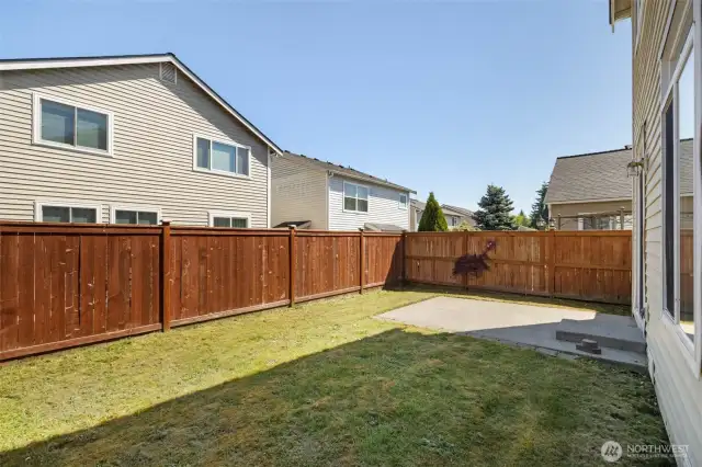 Back yard and patio