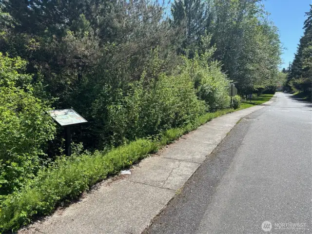 Verdant green belt within Blueberry Meadows