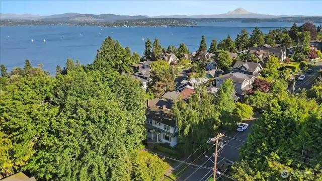 Walk to Lake Washington & 34th Street Shops & Eateries
