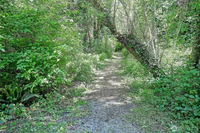 5 Acres w/ Trail to Back~