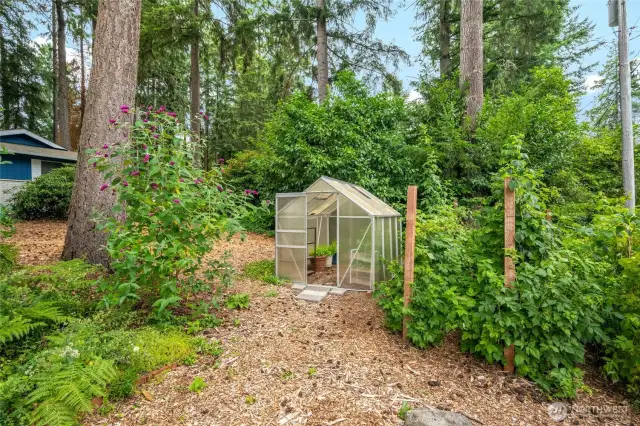 Enjoy your own little greenhouse, conveniently located near your own assortment of berry bushes and herbs.