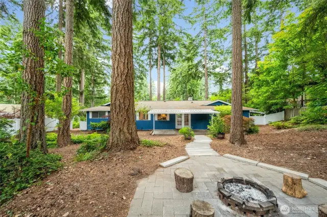View from the firepit towards the back of the house.