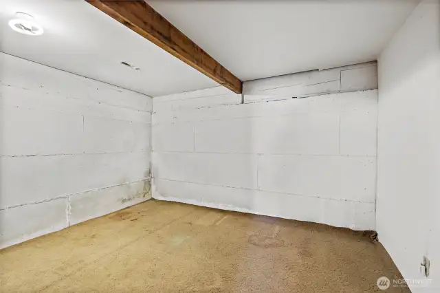 abundant storage space downstairs
