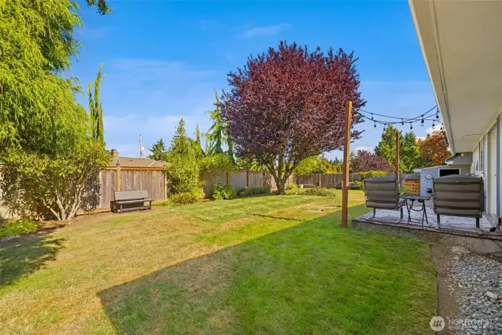 Patio and lawn combine to create a versatile entertaining oasis