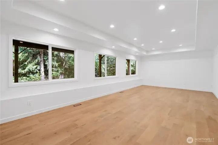 Basement Bonus Room