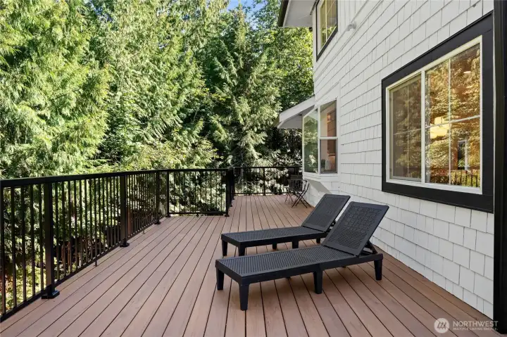 (Composite Trex Decking)