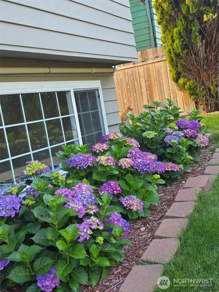 Beautiful custom flowerbeds.
