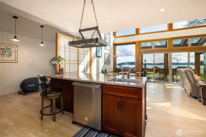 One of two dishwashers in the spacious island...