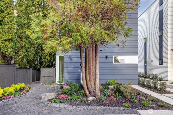 Mindful low-maintenance plantings enhance the site with natural lines and year-round color.