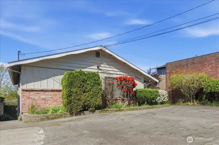 Established Landscaping