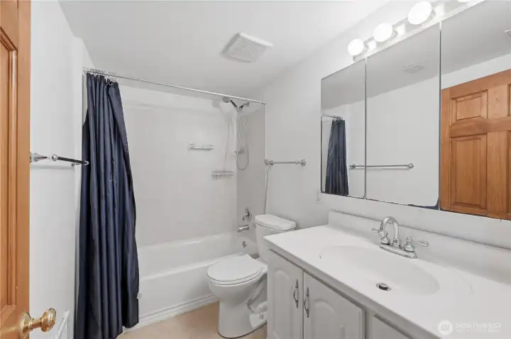 Lower Level - Bathroom