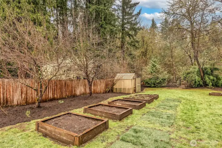 Green house and raised garden beds ready for planting and outdoor enjoyment.