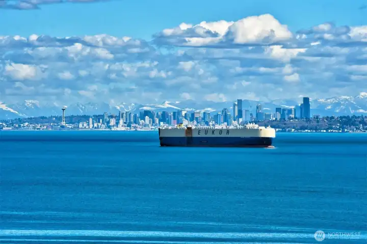 Exceptional View From Living Room
