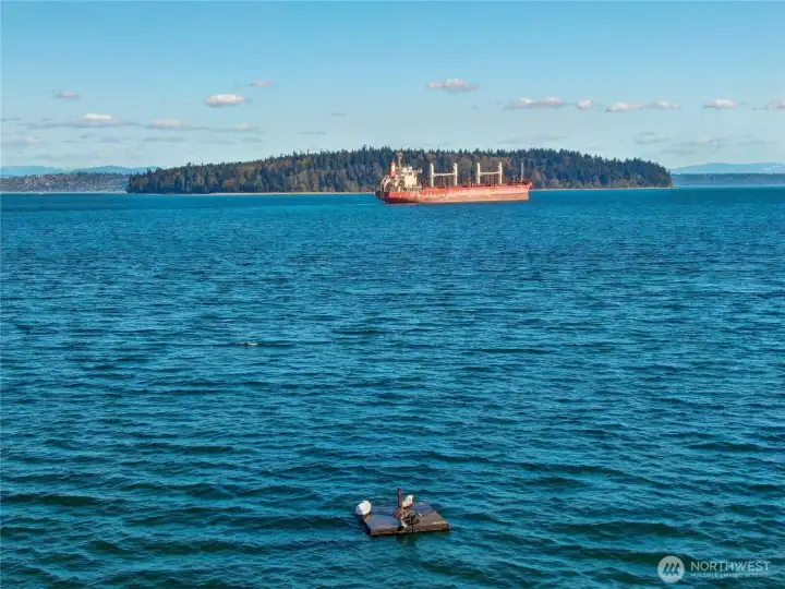 Exceptional Views From Living Room