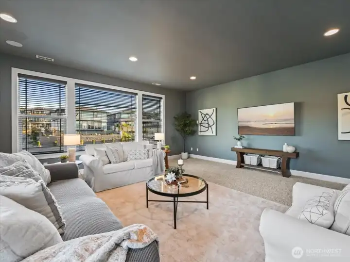 Family or media room