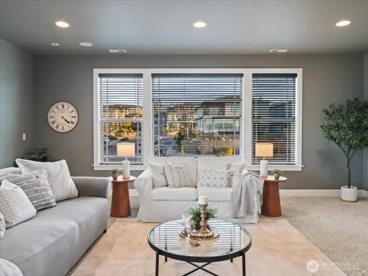 Family or media room