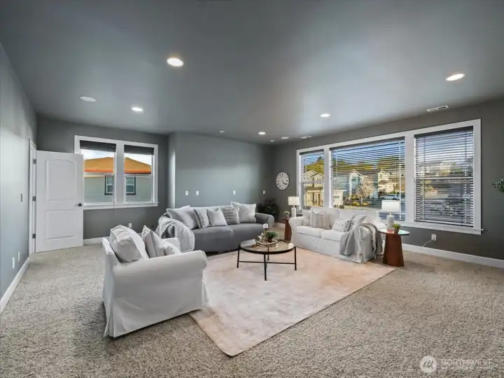 Family or media room