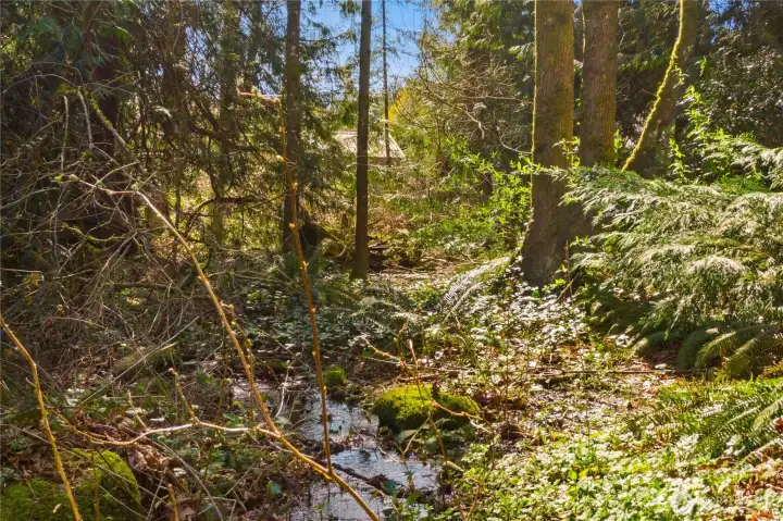 Winter creek runs behind the property on the greenbelt (City of Covington)